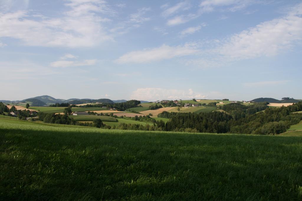 Kirchenwirt Inn Kreuzen (Upper Austria) Exterior foto
